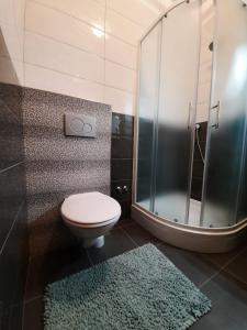 a bathroom with a toilet and a shower and a rug at Apartman Barbir in Sukošan