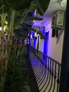 a black fence in a room with blue lights at Rota Hotel in Dalyan