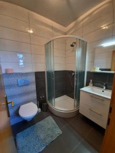 a bathroom with a shower and a toilet and a sink at Apartman Barbir in Sukošan