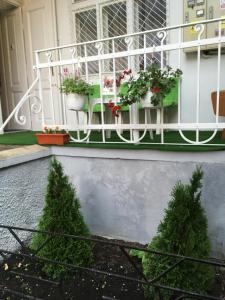 un balcón con macetas en una casa en House Centrul Istoric en Sibiu