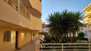 a hallway of a building with palm trees and a fence at Marina Vilamoura Apartment in Vilamoura