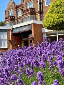 un campo de flores púrpuras frente a un edificio en The Orwell Hotel, en Felixstowe