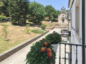 Fotografie z fotogalerie ubytování Guest House El Padrino v destinaci Portomarin