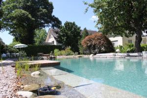 a swimming pool in the backyard of a house at Hotel garni Schacherer in Müllheim