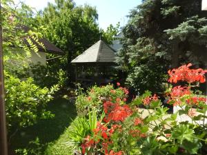 Zahrada ubytování Haus Gizella