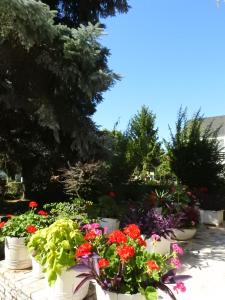 Zahrada ubytování Haus Gizella