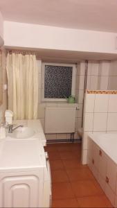 a bathroom with a toilet and a sink and a window at Cozy Studio with access to garden/terrace; peaceful area 2.2 km from the town in Závažná Poruba