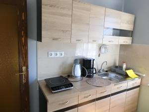 Kuchyň nebo kuchyňský kout v ubytování Haus Gizella