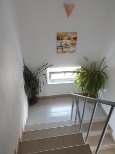 Fotografie z fotogalerie ubytování Guest House Taligarov v destinaci Pomorie