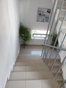 Fotografie z fotogalerie ubytování Guest House Taligarov v destinaci Pomorie