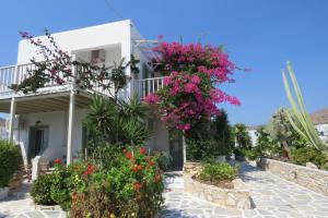 Vrt ispred objekta Corali Beach Hotel