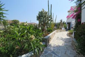 Un jardín fuera de Corali Beach Hotel