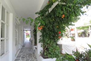 Vrt ispred objekta Corali Beach Hotel