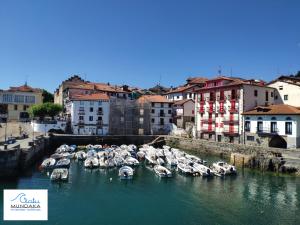 a bunch of boats are docked in a harbor at Apartamento Ogoño in Mundaka