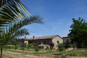 an old house in a field with a palm tree at Agriturismo Fellino in Rossano