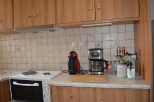 Kuchyňa alebo kuchynka v ubytovaní Tinos View Apartments