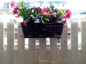 a planter on top of a wooden fence with flowers at Ariston Petit Hotel in Palermo