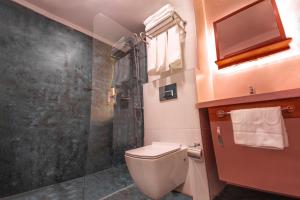 a bathroom with a toilet and a shower at Hotel Kale 17 in Çanakkale