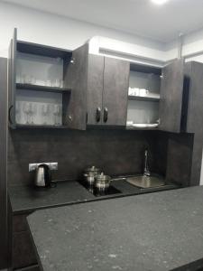 eine Küche mit einer Spüle und einer Arbeitsplatte in der Unterkunft Новая и уютная квартира в центре in Uschhorod