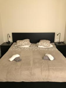 a large bed with two pillows on top of it at Hotel Akmenė in Naujoji Akmenė +19 photos