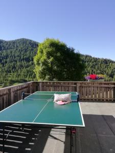 Stolní tenis v ubytování Almhaus Margit nebo okolí