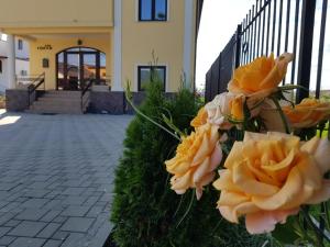 a bouquet of yellow roses in front of a building at Alba Forum in Alba Iulia