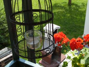 a bird cage with a candle in it next to flowers at Ferienhäusel am Malerweg in Bad Schandau