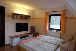 a bedroom with a bed and a flat screen tv at Doppelzimmer Liliensteinblick 1.OG in Bad Schandau