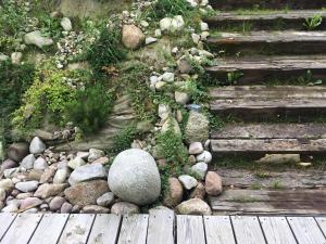 Gallery image of Siedlisko U Źródeł in Skierbieszów