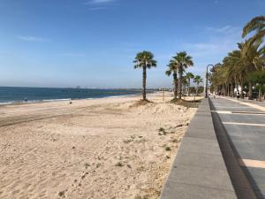 uma praia de areia com palmeiras e um passeio em Miraplaya em Benicàssim