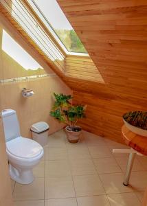 a bathroom with a toilet and a skylight at Pie Pifa in Pāvilosta