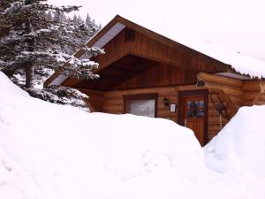 Glacier House Hotel & Resort v zimě