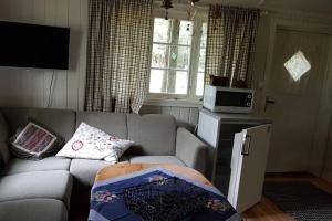 a living room with a couch and a microwave at Idyllisk liten hytte in Solsem
