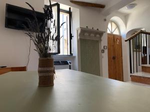 wazon z rośliną siedzącą na stole w obiekcie Casa di Giulietta w mieście Bomarzo