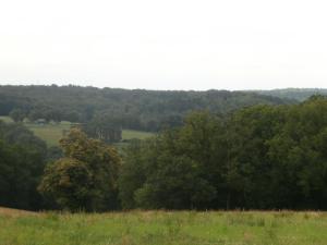 a group of trees in a grassy field at La grange de Tombeloly in Clermont-de-Beauregard +4 photos