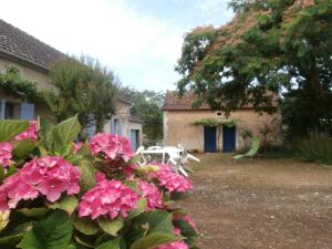 un jardín con mesas, sillas y flores rosas en La grange de Tombeloly, en Clermont-de-Beauregard