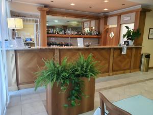a bar in a restaurant with a plant at Hotel Motel 2 in Castel San Giovanni