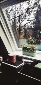 a kitchen sink with two plants in a window at Ferienhaus Kleine Auszeit in Gossersweiler-Stein