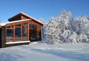 uma cabana na neve com árvores cobertas de neve em Chalet Ciprés em Valle Las Trancas