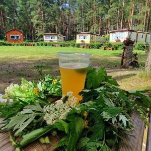Φωτογραφία από το άλμπουμ του Chill&Grill camping στο Νταουγκαβπίλς