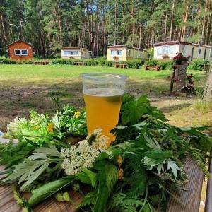 a glass of beer sitting on top of a table at Chill&Grill camping in Daugavpils