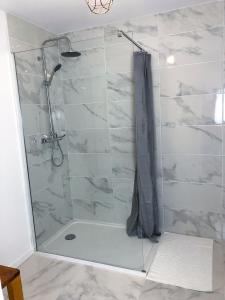uma casa de banho com um chuveiro e uma porta de vidro em Appartement calme & lumineux proche centre em Saumur