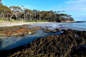 Gallery image of Beachgum in Sunshine Bay