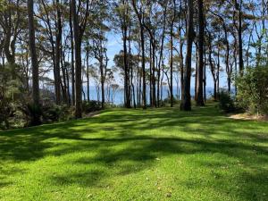 ein großes Grasfeld mit Bäumen im Hintergrund in der Unterkunft Beachgum in Sunshine Bay