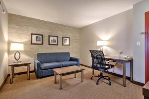 Posezení v ubytování Comfort Inn & Suites South