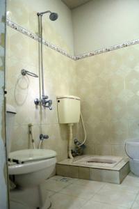 ein Bad mit WC und Dusche in der Unterkunft Hunza Heaven Guest House in Baltit