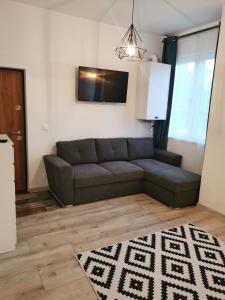 uma sala de estar com um sofá e uma televisão em Central Park Studio Petrosani em Petroşani