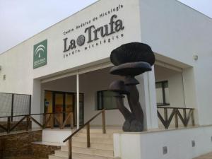 Zdjęcie z galerii obiektu Casa Rural Fuente Zagrilla w mieście Zagrilla