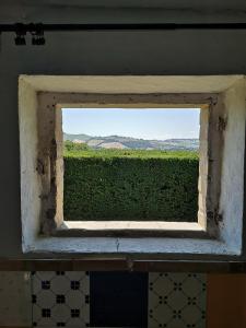 an old window with a view of a green hedge at Il Gallo Del Vicino in Monte Urano