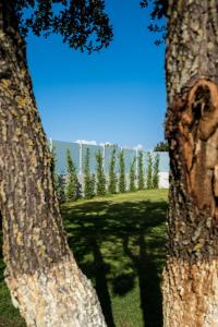 Gallery image of Karavos Apartments Almyros in Almiros Beach